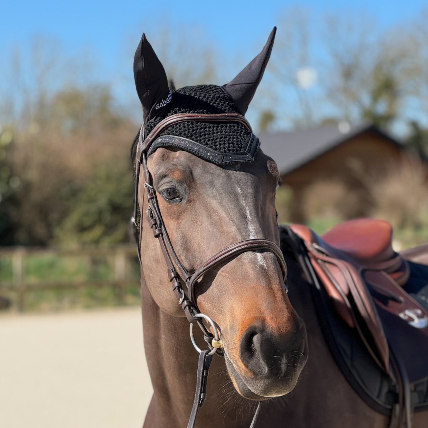 Bonnet anti-mouches Glitter Noir