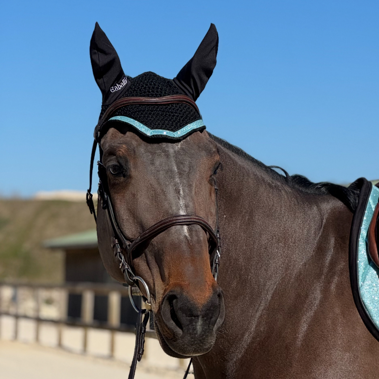 Bonnet anti-mouches Glitter Bleu clair