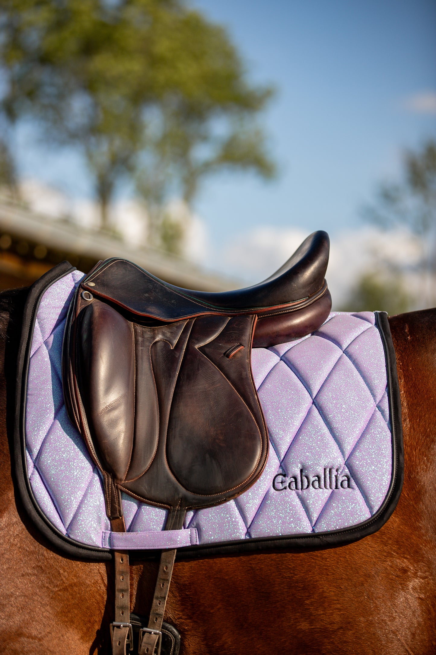 Tapis Dressage Glitter Lilas
