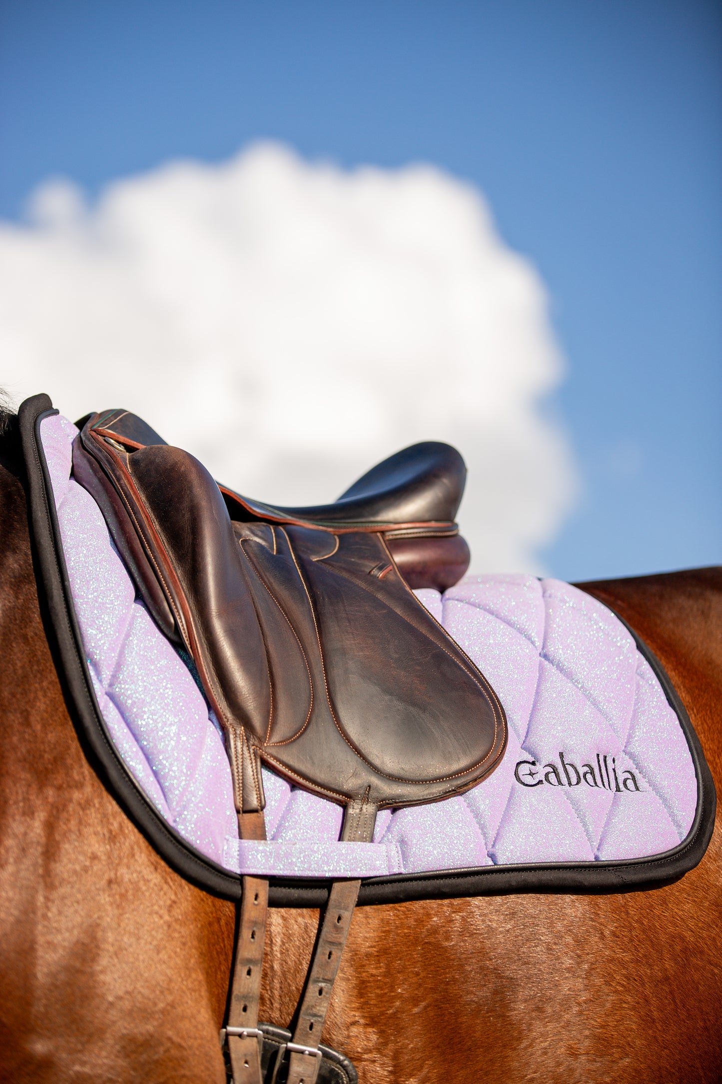 Tapis Dressage Glitter Lilas
