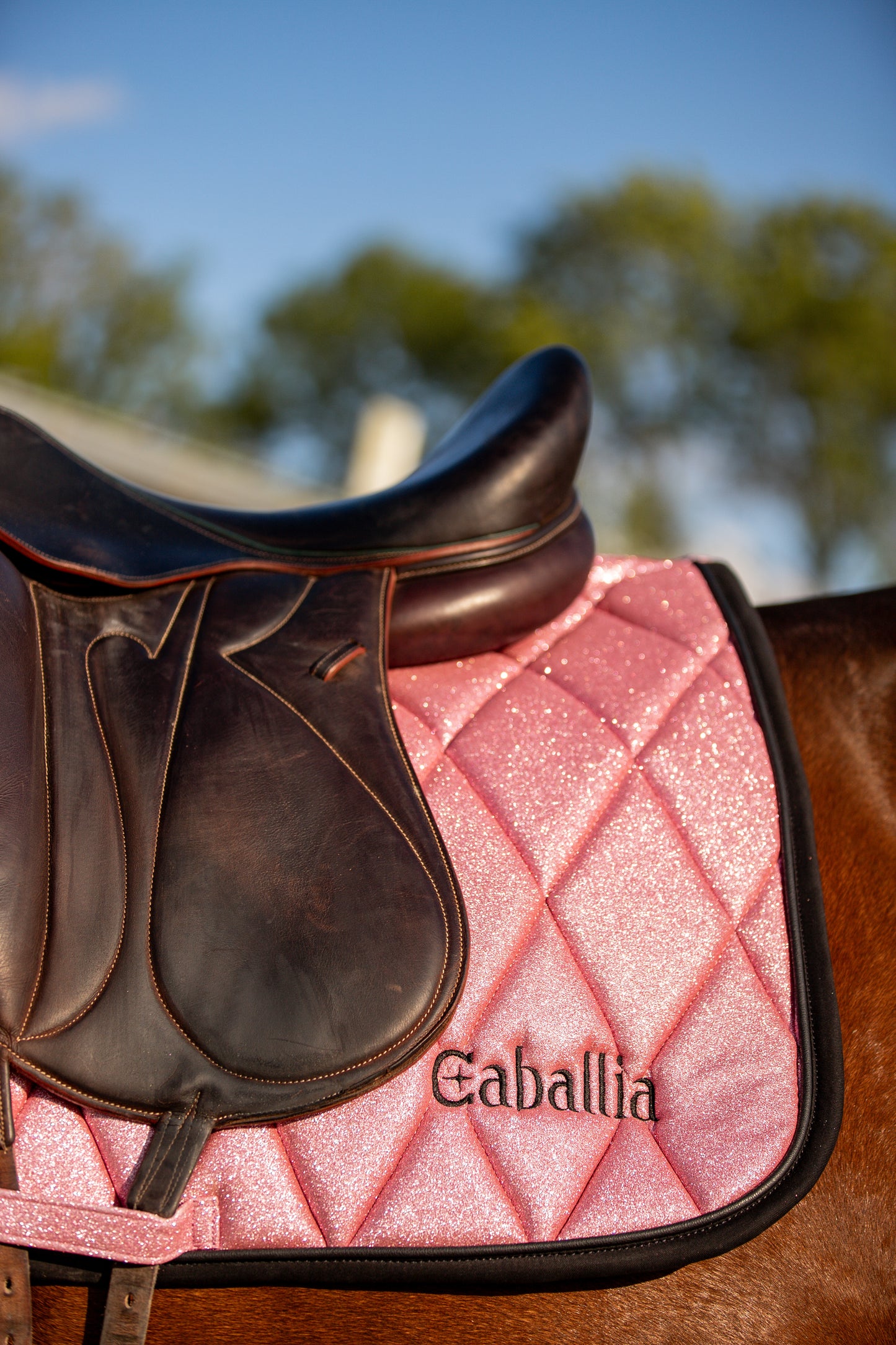 Tapis Dressage Glitter Rose