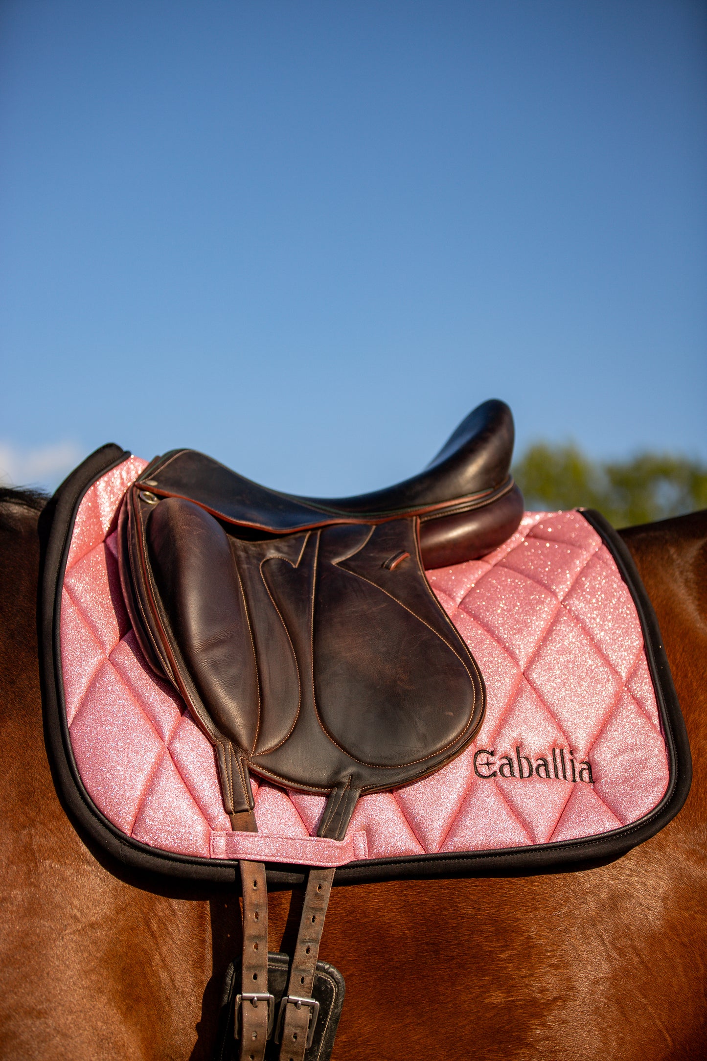 Tapis Dressage Glitter Rose