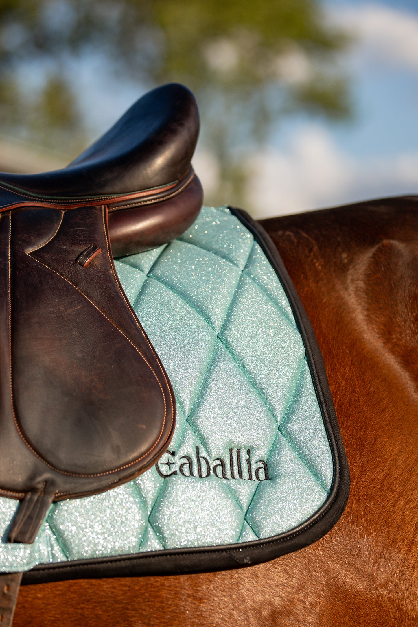 Tapis Dressage Glitter Bleu clair