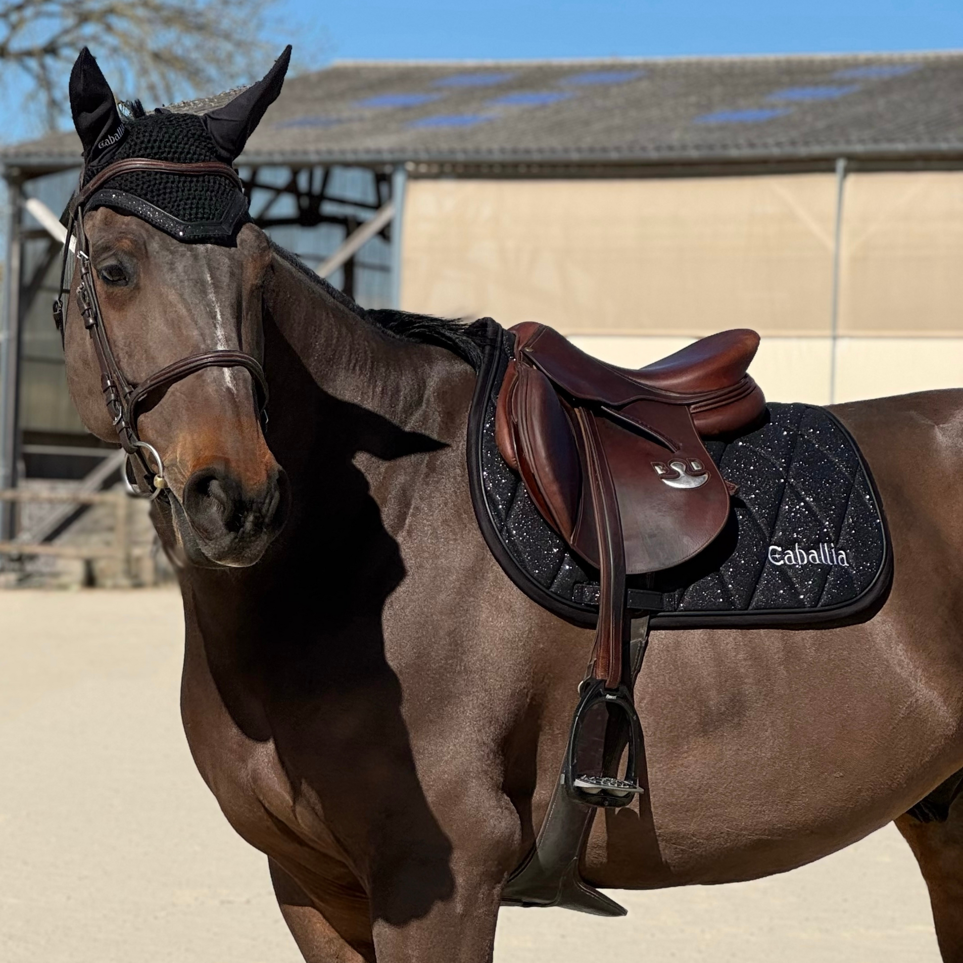Tapis noir cheval d'occasion - Accessoires animaux Tapis noir cheval d'occasion - Accessoires animaux