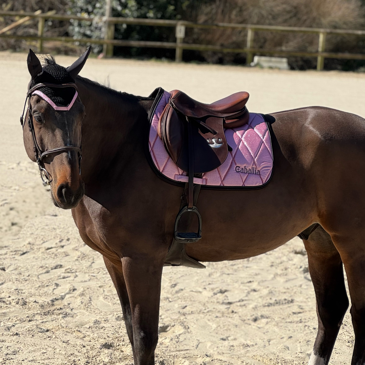 Tapis de selle Glitter Rose