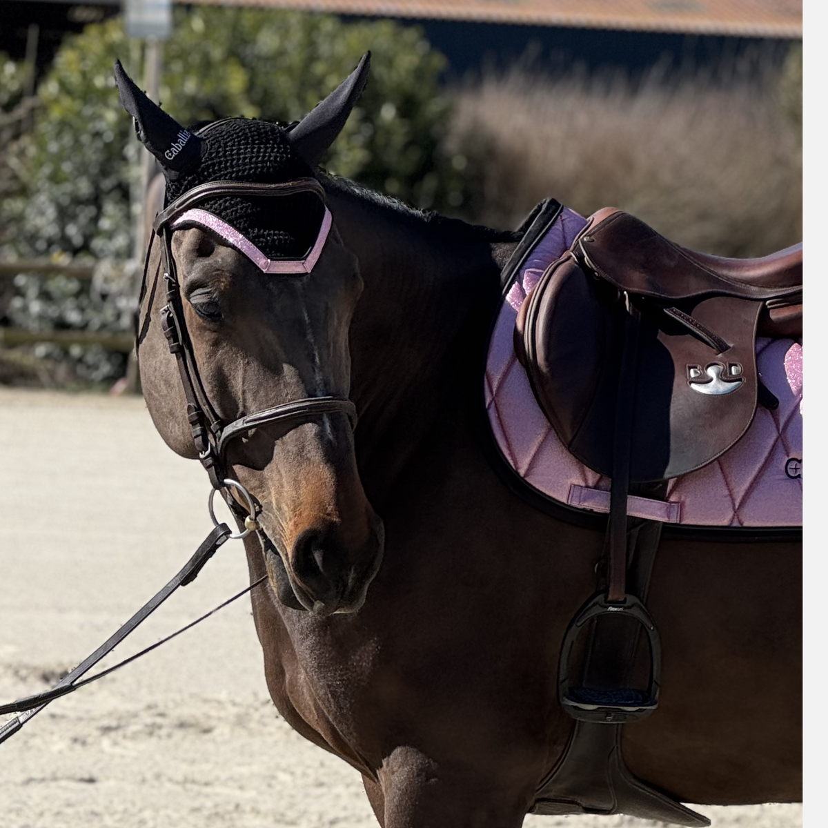 HKM Zebra Rose Masque anti-mouches Rose/gris Poney Taille HKM Zebra Rose Masque anti-mouches Rose/gris Poney Taille