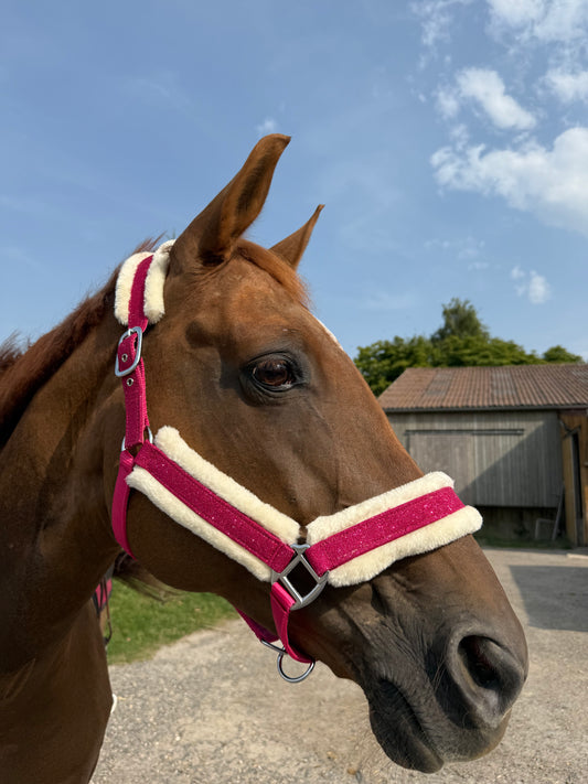 Licol Glitter Framboise