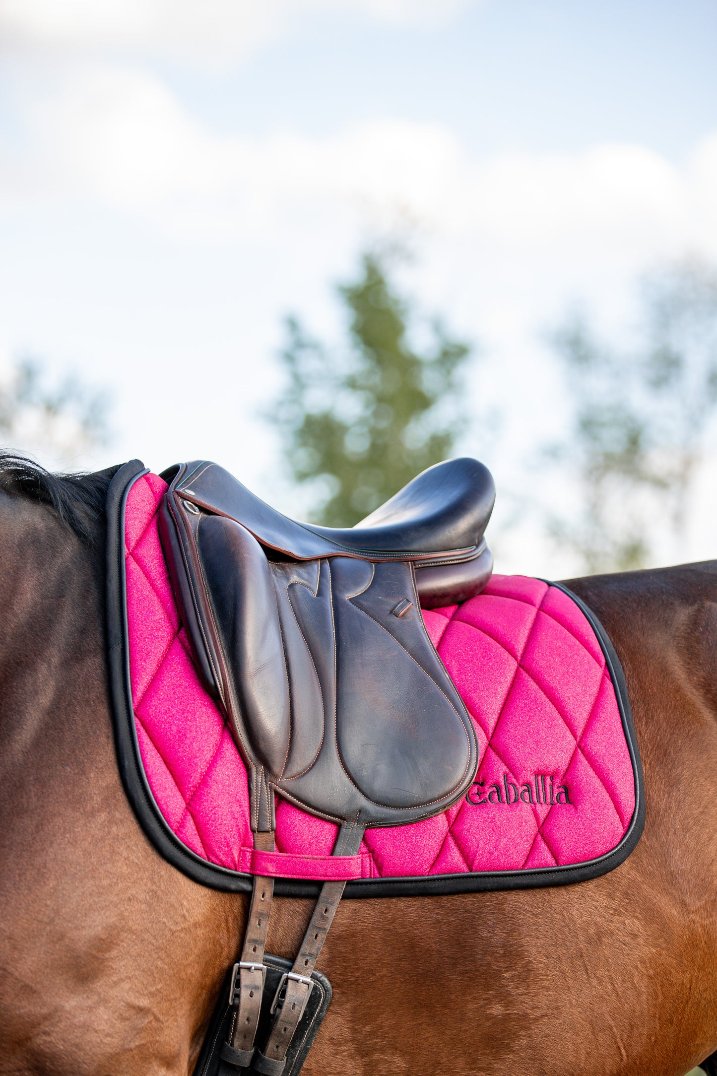 Tapis Dressage Glitter Framboise