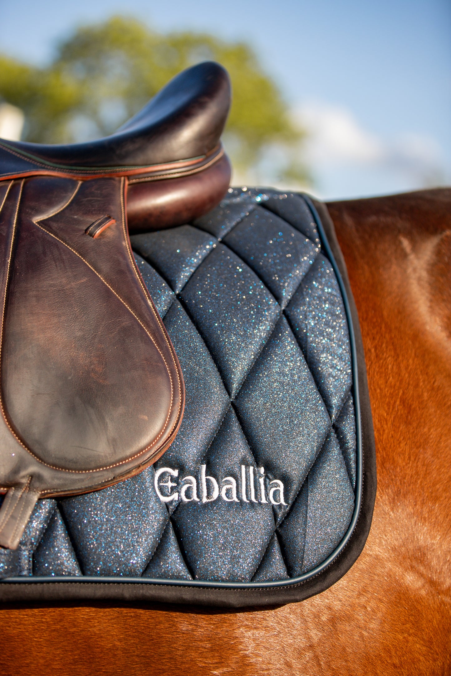 Tapis Dressage Glitter Bleu marine