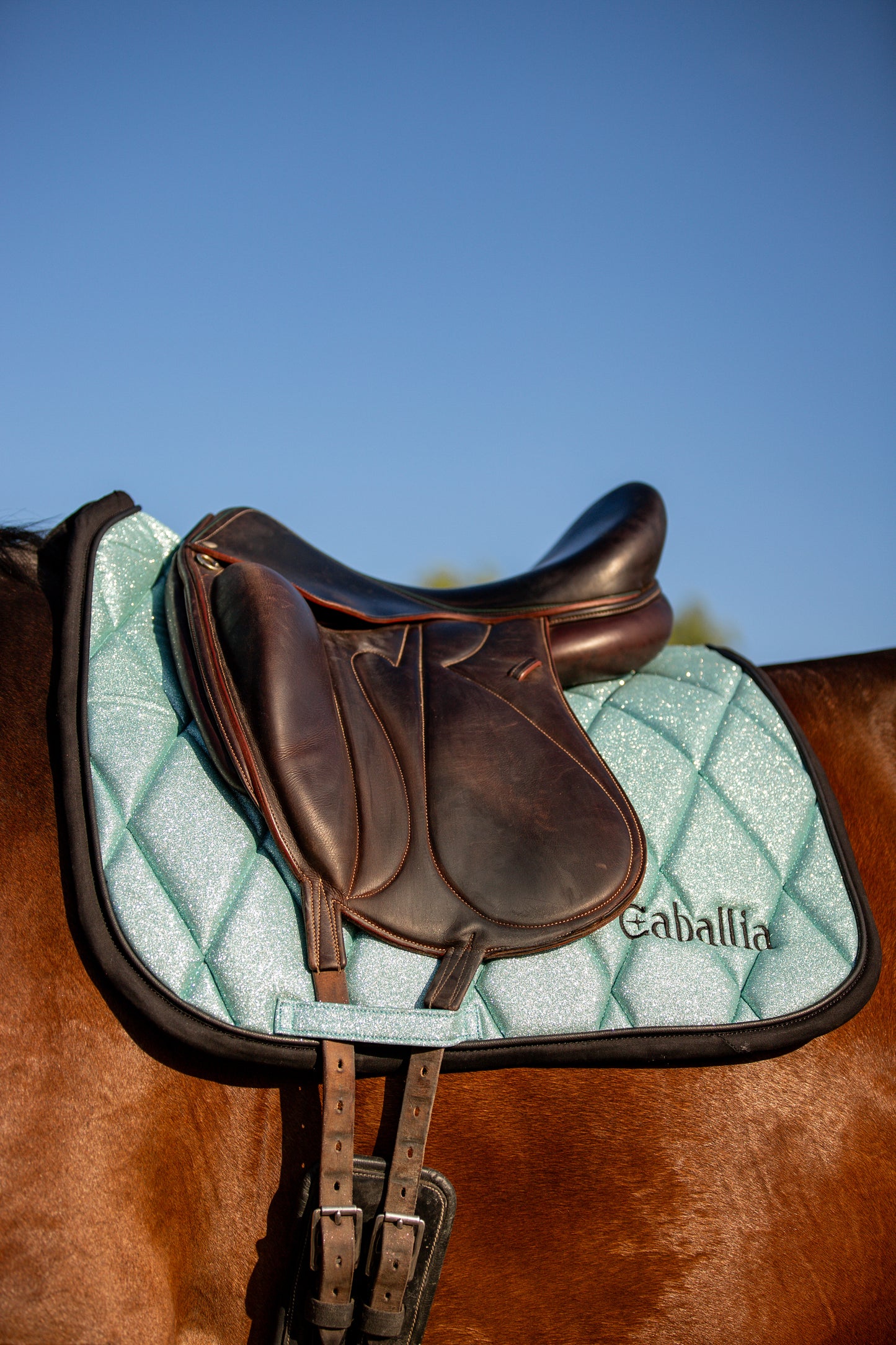 Tapis Dressage Glitter Bleu clair