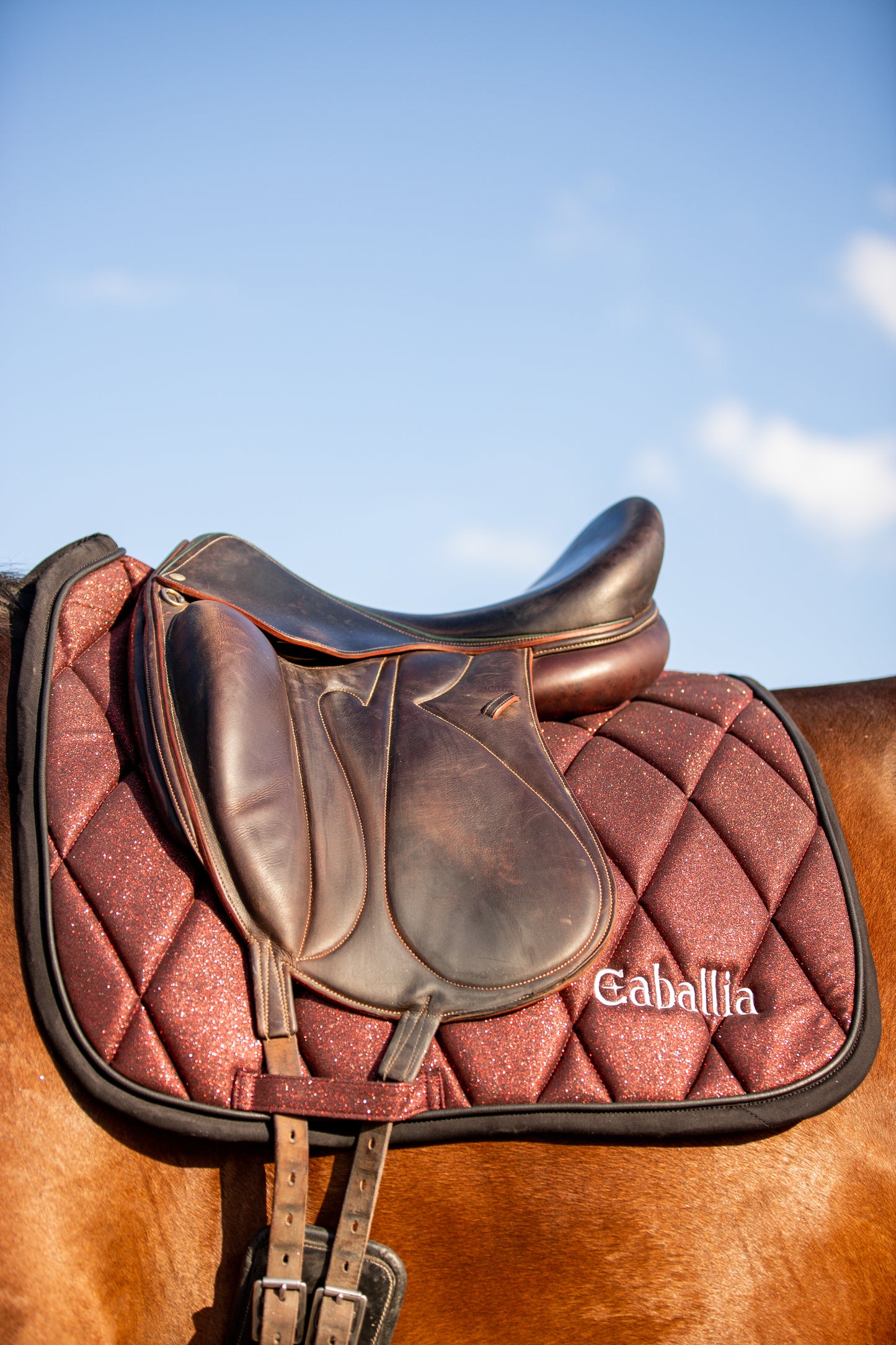 Tapis Dressage Glitter Bordeaux